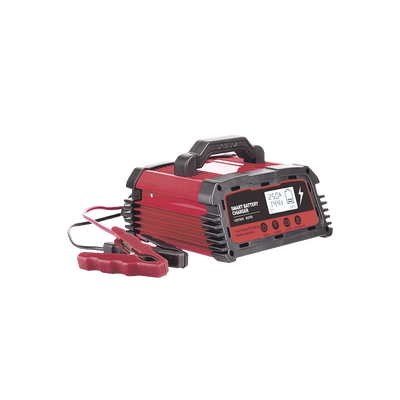 Cargador de Baterías / 12 o 24 Vcc / 25 A / Hasta 250 Ah / Display LCD / Entrada Universal AC 110-220 V