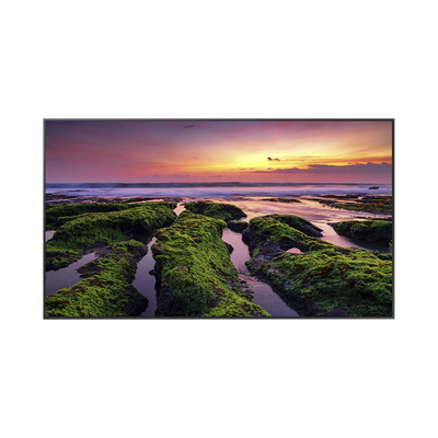 Pantalla LED Profesional / 65 Pulgadas / UHD 4K 3840x2160 / Operación 16/7 / Wi-Fi Dual Band / Bocinas 10 W / VESA 400x300 mm