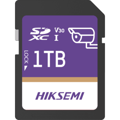 Tarjeta SD GuardPro P10 / 1 TB / 100 MB/s Lectura / 90 MB/s Escritura / Clase 10 U3 V30 / 3D TLC NAND / Especializada Para Videovigilancia 24/7